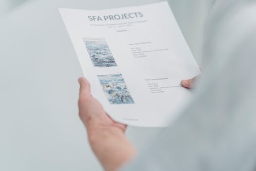 image of an organized portfolio with project examples