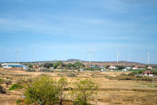 wind turbines in a field