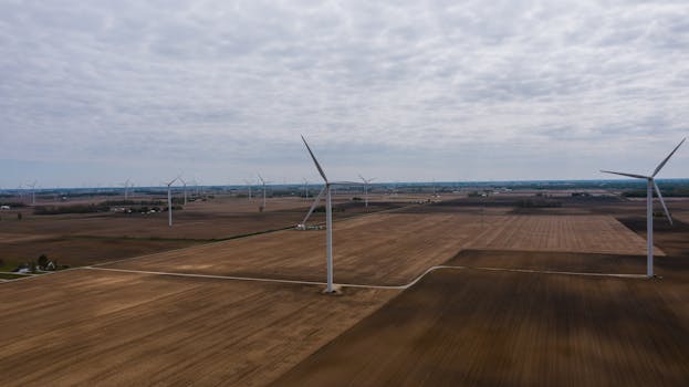 wind turbines in a field